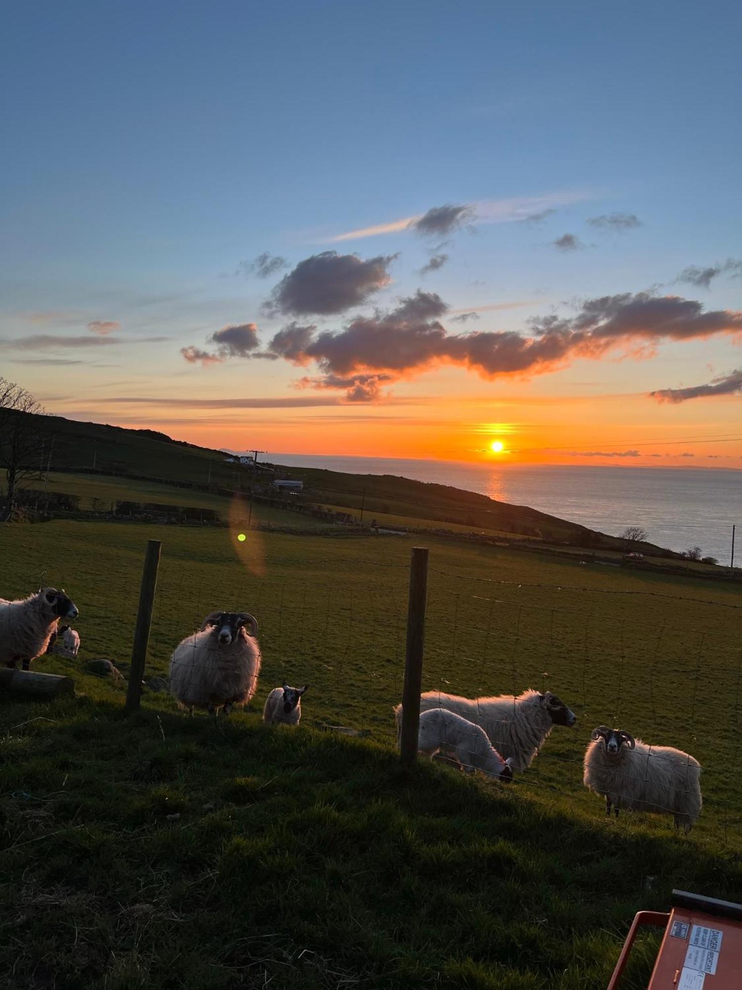 Holiday home Sea View Cushendun