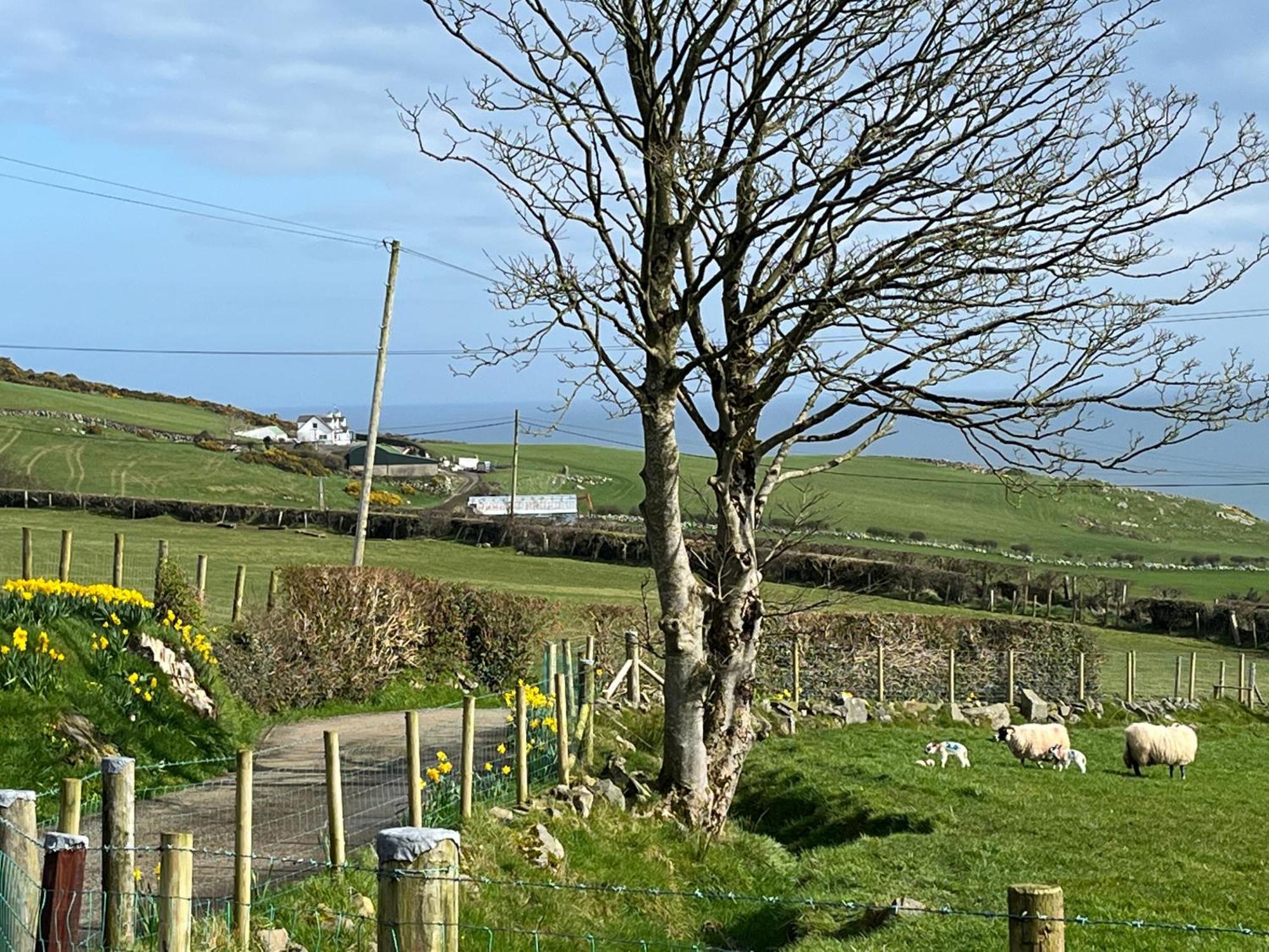 Sea View * Cushendun